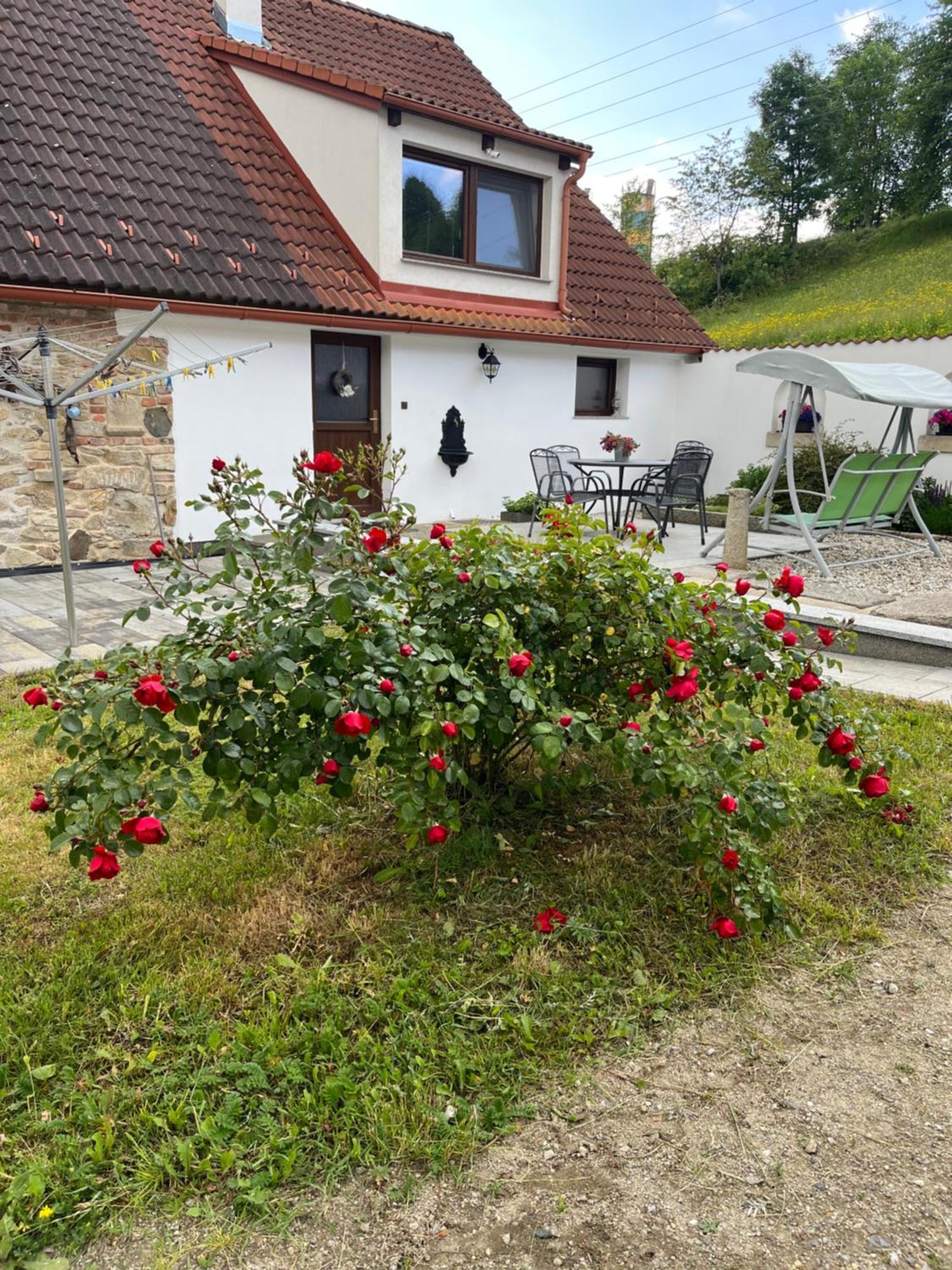 Apartmany U Prochazku Český Krumlov Dış mekan fotoğraf
